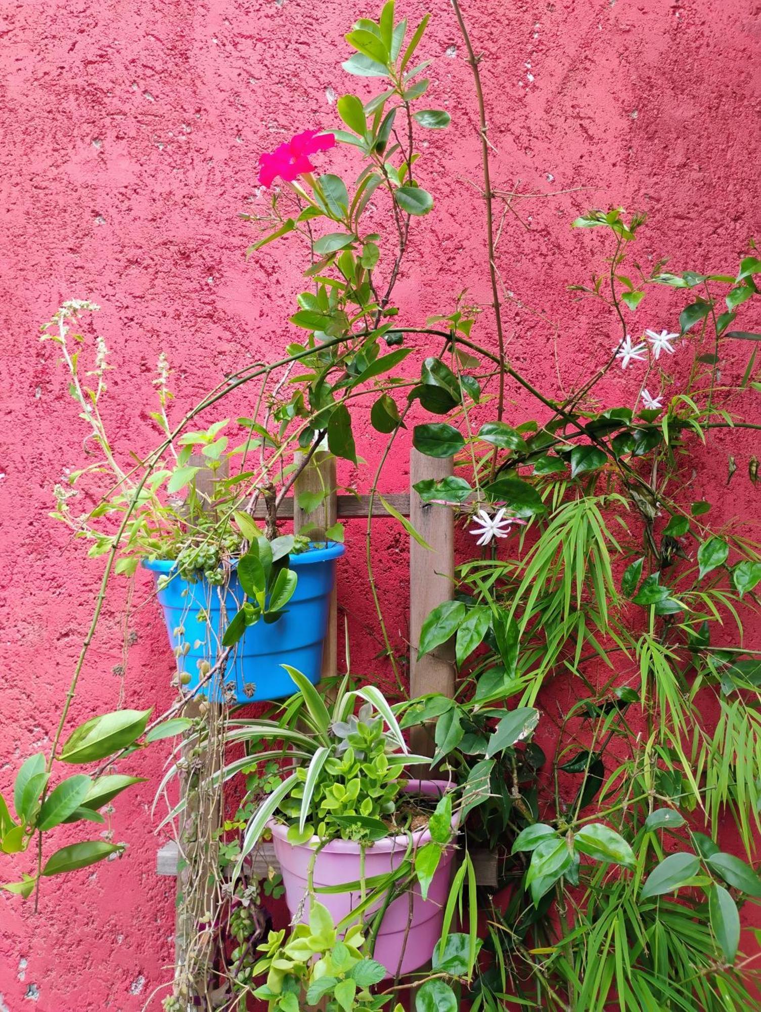 Estalagem Eco House Floripa *