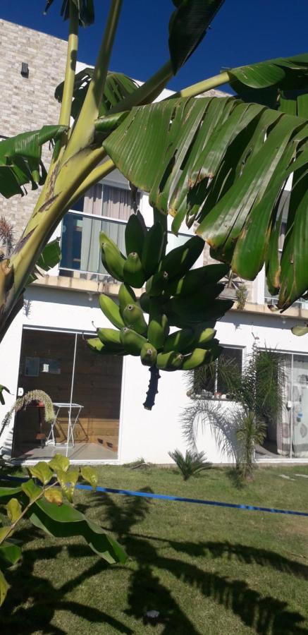 Eco House Floripa Florianópolis