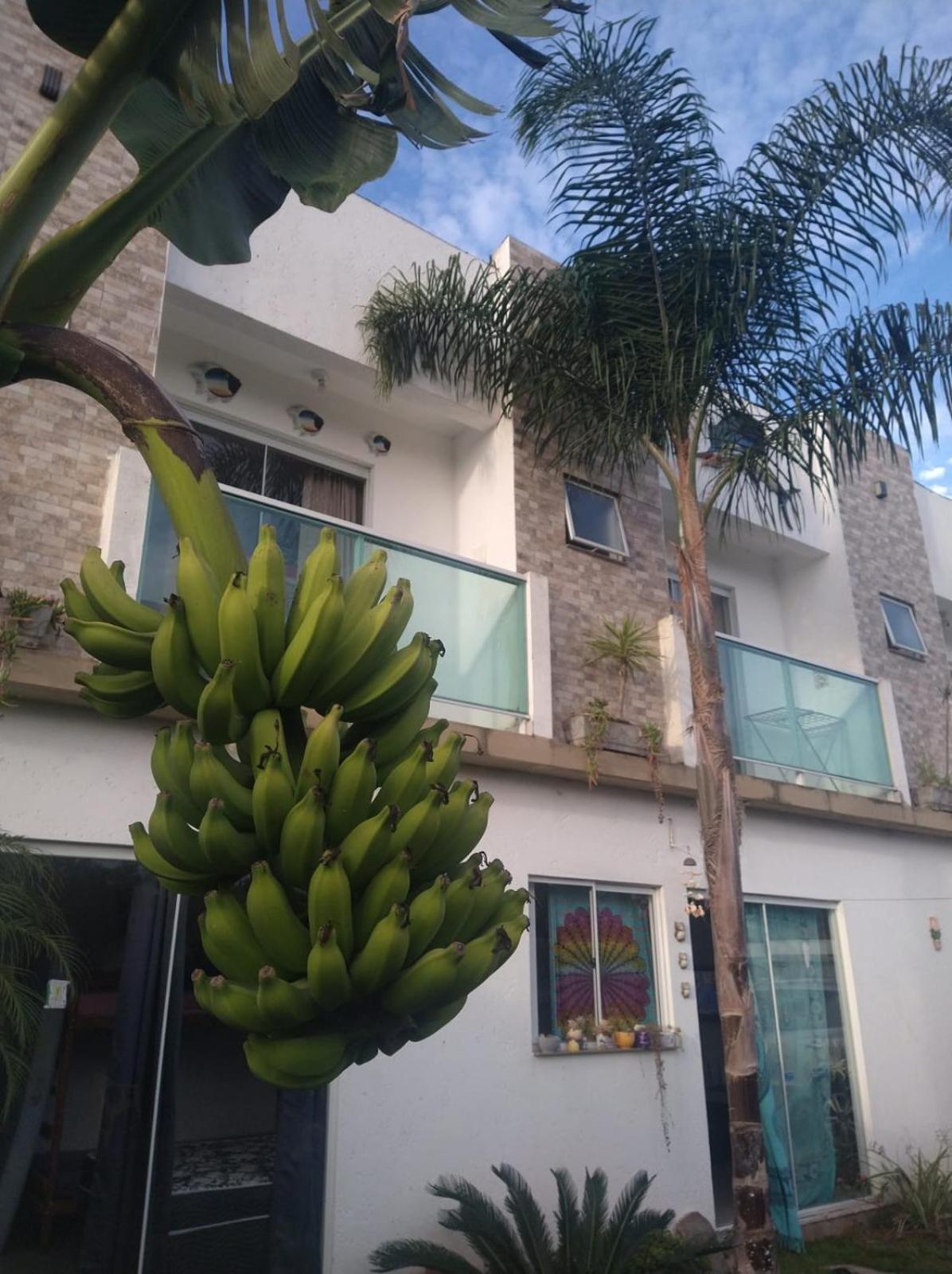 Estalagem Eco House Floripa *
