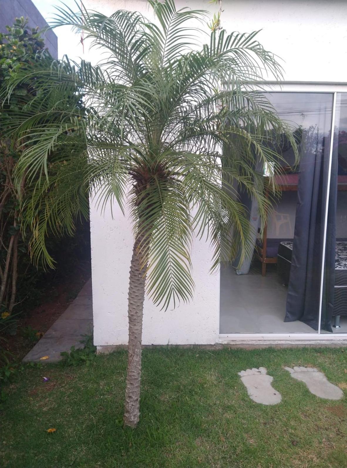 Estalagem Eco House Floripa